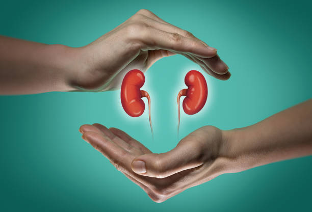 hydrogen-a-promising-treatment-for-kidney-health-i