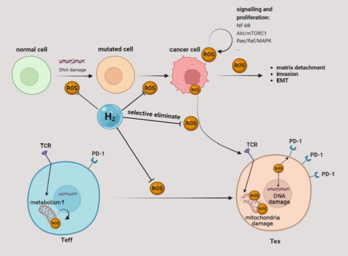 hydrogen-new-hope-in-the-fight-against-cancer