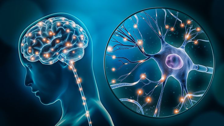 h2s-and-the-nervous-system-unveiling-a-small-gas-with-a-big-role