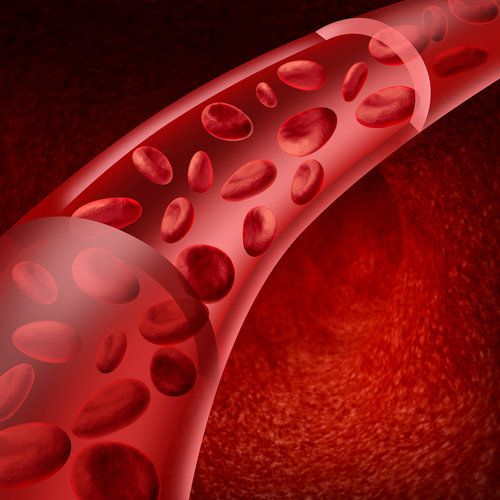nitric-oxide-a-small-molecule-for-healthy-blood-vessels