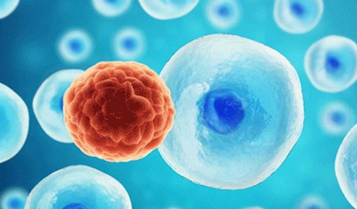 nanobubbles-the-cancer-conquerors