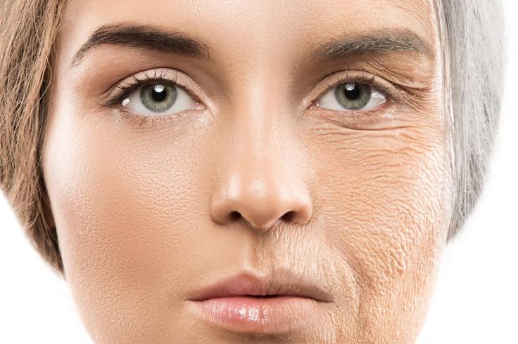 reverse-aging-new-innovations-to-live-younger-and-healthier