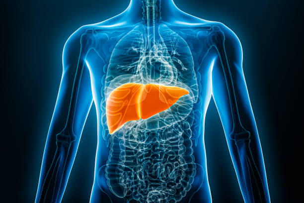 hydrogen-water-an-energy-boosting-solution-for-obesity-and-liver-health