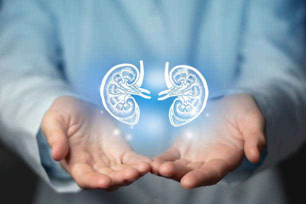 hydrogen-a-promising-treatment-for-kidney-health-ii