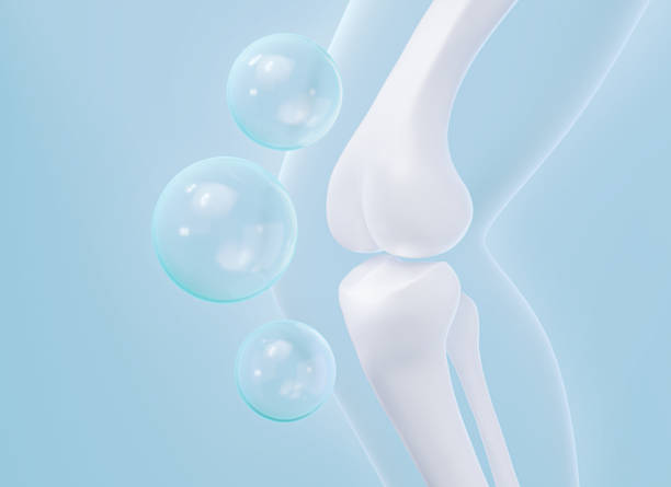 the-role-of-gasotransmitters-in-supporting-bone-health-and-regeneration